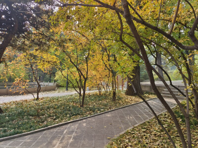 晋祠的秋2025.10.24