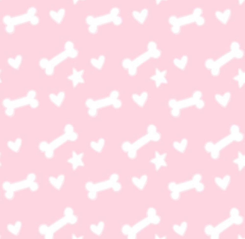 .+:｡(o´ω`)o ﾟ.+:｡ ​​​