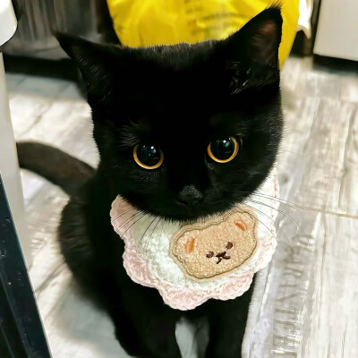 图源ks：偷喝汽水