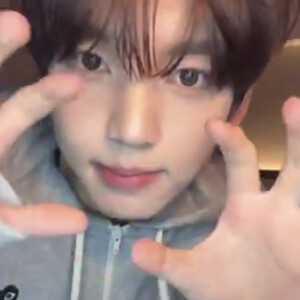 不想搞粥了但太萌了偷跑一下