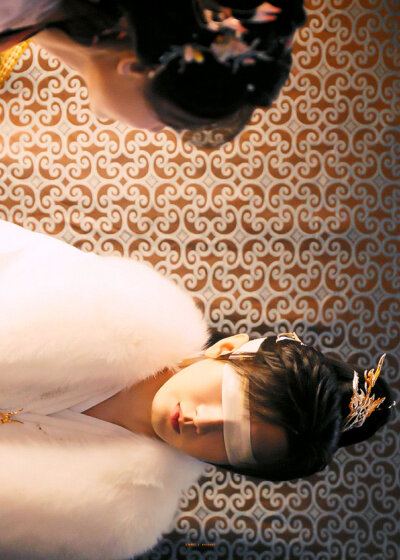 成毅 李一桐 / 王权富贵 清瞳 ​​​