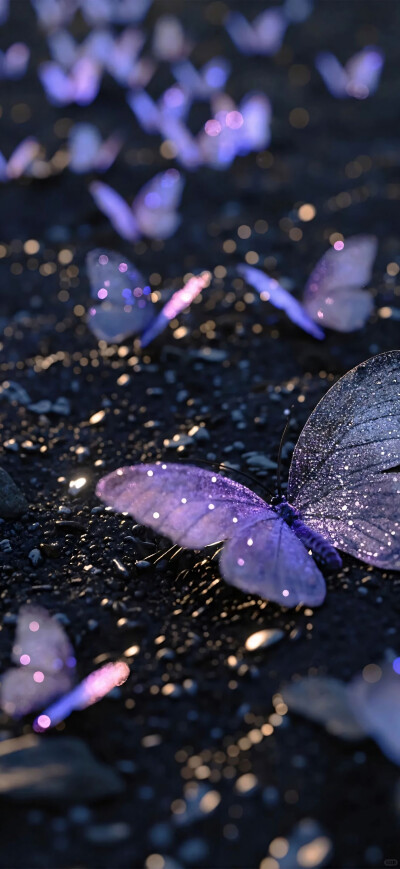 平铺壁纸 锁屏壁纸