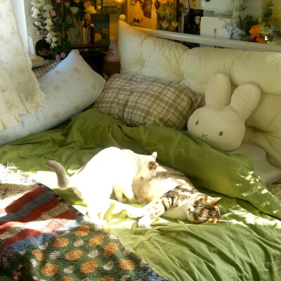 图源ks：偷喝汽水