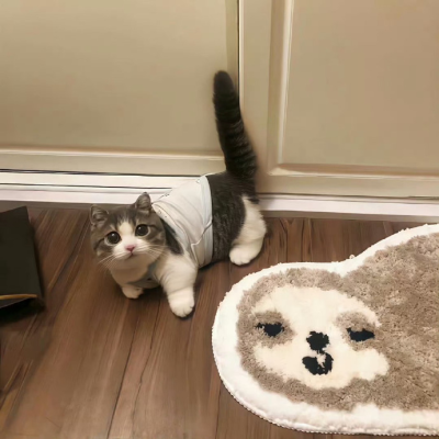 我是不会放弃收集这种图片的