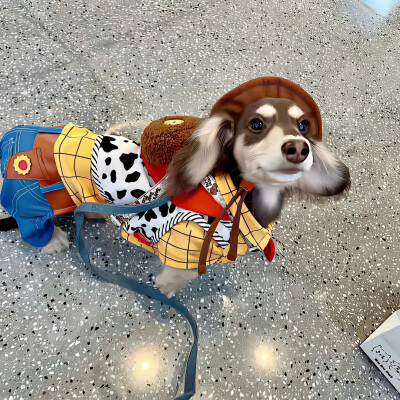 图源ks：偷喝汽水