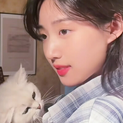 依旧两只猫