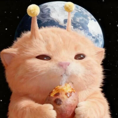 图源小红薯：那不重要