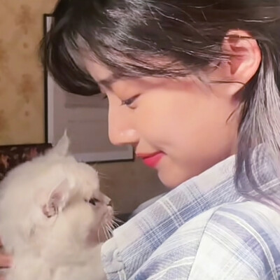 依旧两只猫