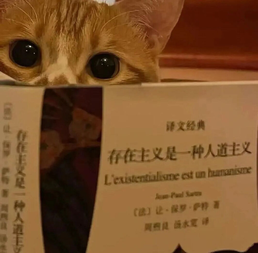 我是不会放弃收集这种图片的