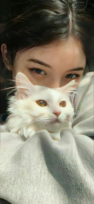 我是不会放弃收集这种图片的