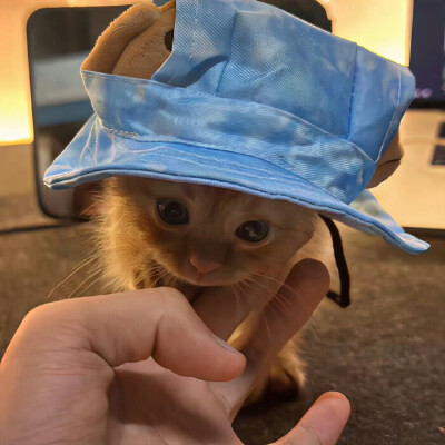 这世界还有你的存在也不算太糟糕 ​​​
