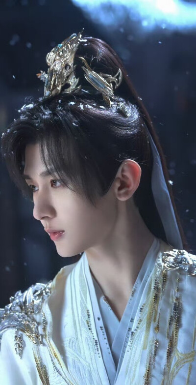 成毅《天地剑心》王权富贵