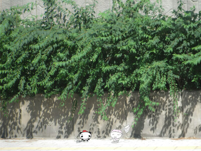 手绘 风景 壁纸背景 