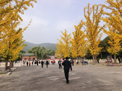 晋祠的秋2025.10.24