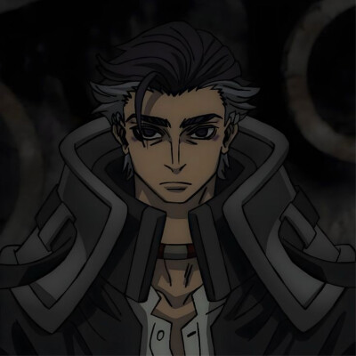 番剧：废渊战鬼
角色：佐池爾·提豊（Zodyl Typhon）
动漫男头Δ