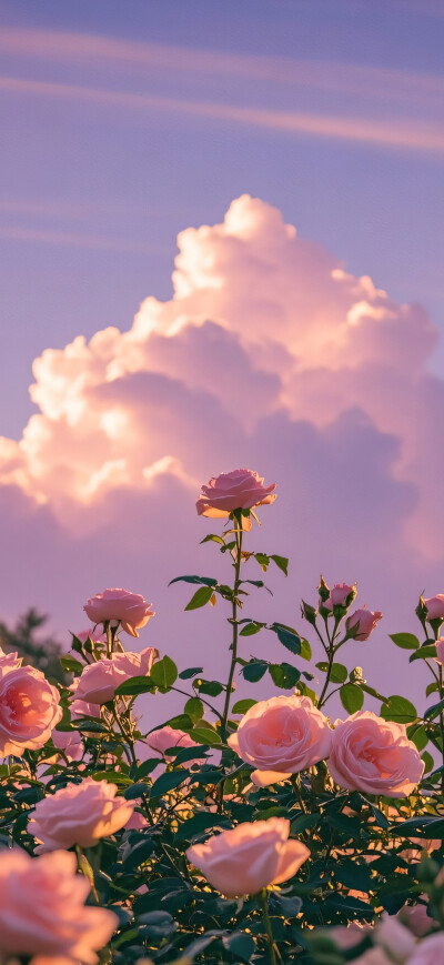 平铺壁纸 锁屏壁纸