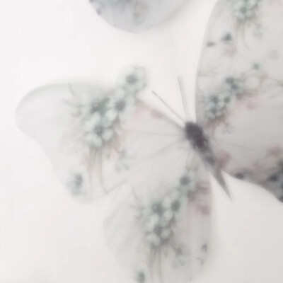 Nan//精选主页图 键盘壁纸 高清微信背景图 INS objects极简 文字 黑白 小众 氛围感 