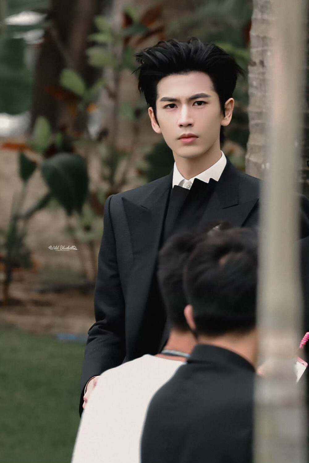 cr.WildBluebell·张凌赫