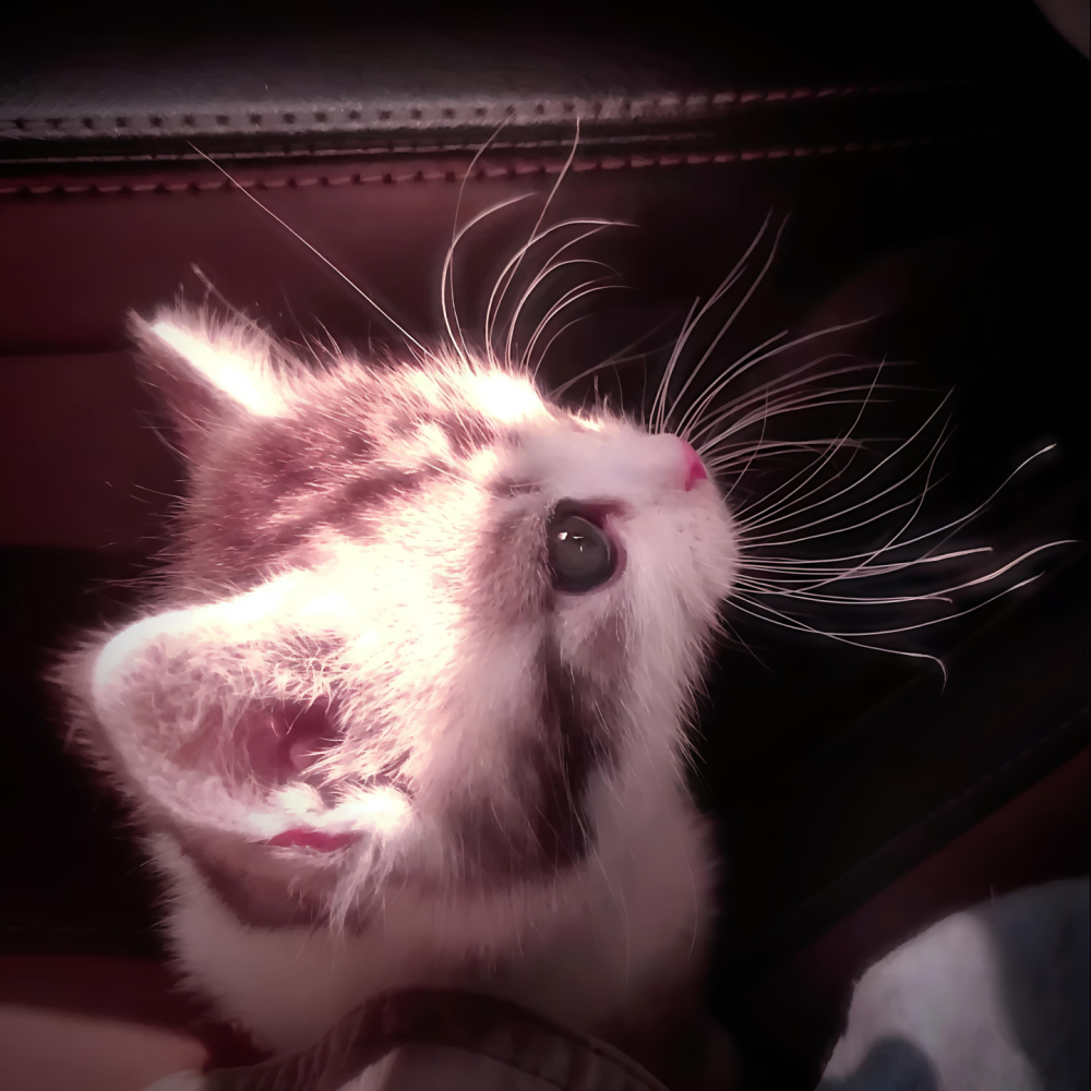 ‎#ليس قوة خارقة