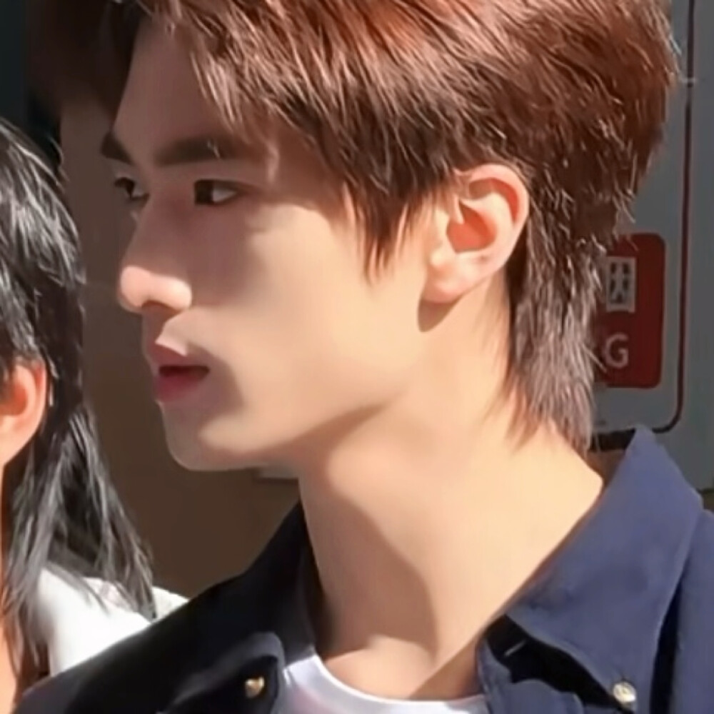 能不能去演金氏森林2