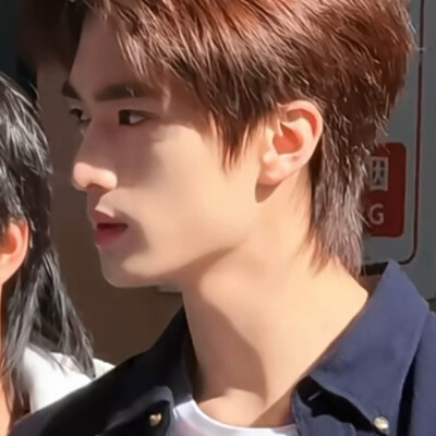 能不能去演金氏森林2