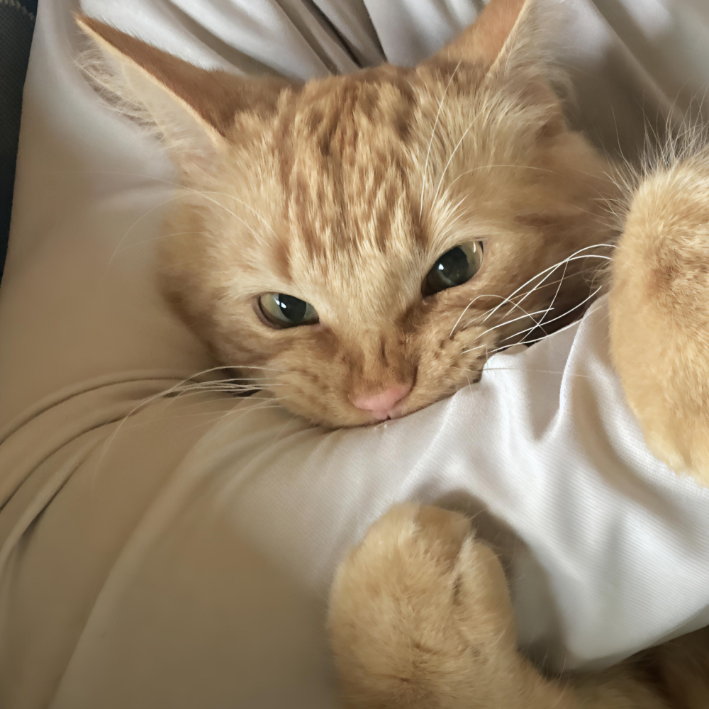 ‎#ليس قوة خارقة