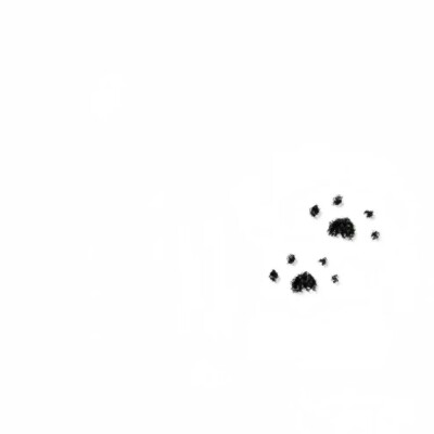 Nan//精选主页图 键盘壁纸 高清微信背景图 INS objects极简 文字 黑白 小众 氛围感 