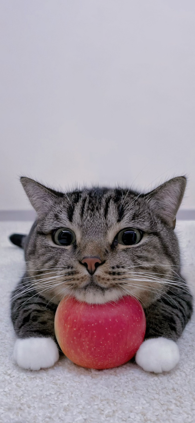 ‎#ليس قوة خارقة