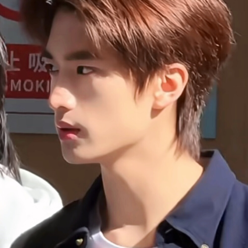 能不能去演金氏森林2