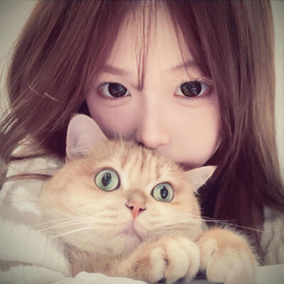 相似的太多 我也没有很特别