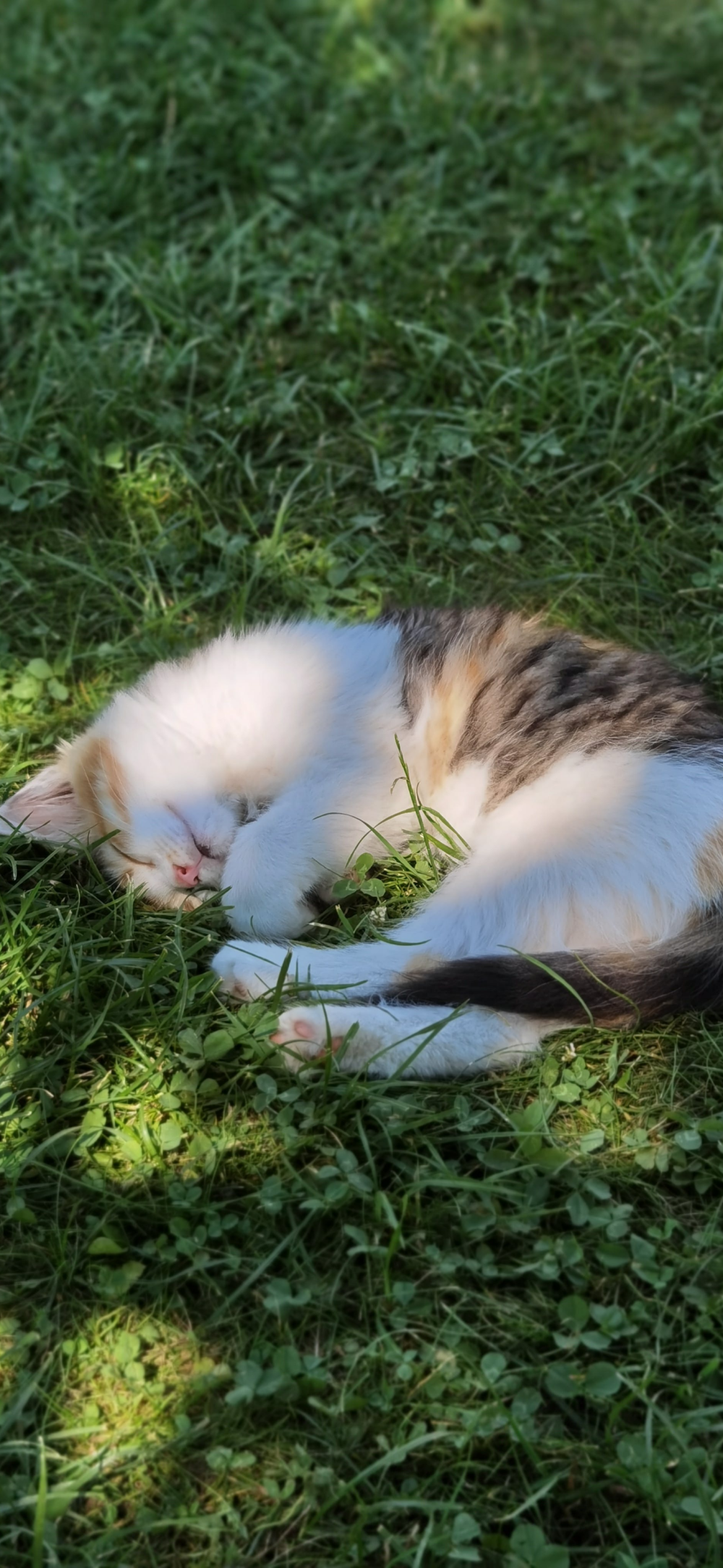 ‎#ليس قوة خارقة