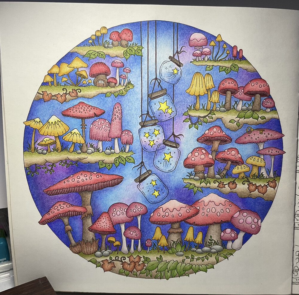 No.75 rooms of wonder
工具：本范儿