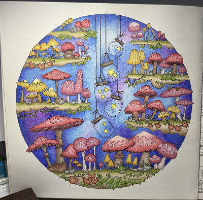 No.75 rooms of wonder
工具：本范儿