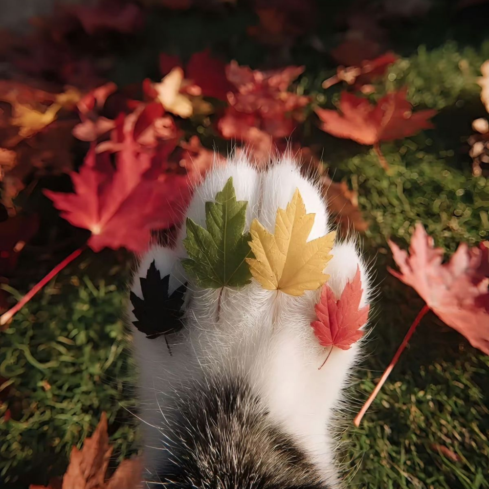 ‎#ليس قوة خارقة