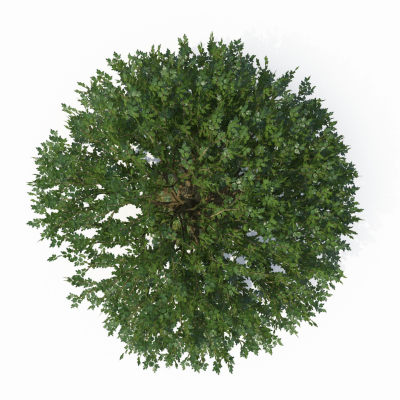 ‎#ليس قوة خارقة