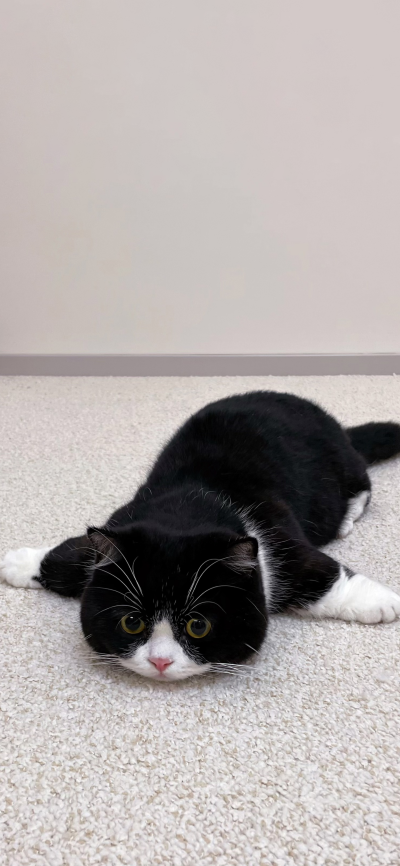 ‎#ليس قوة خارقة