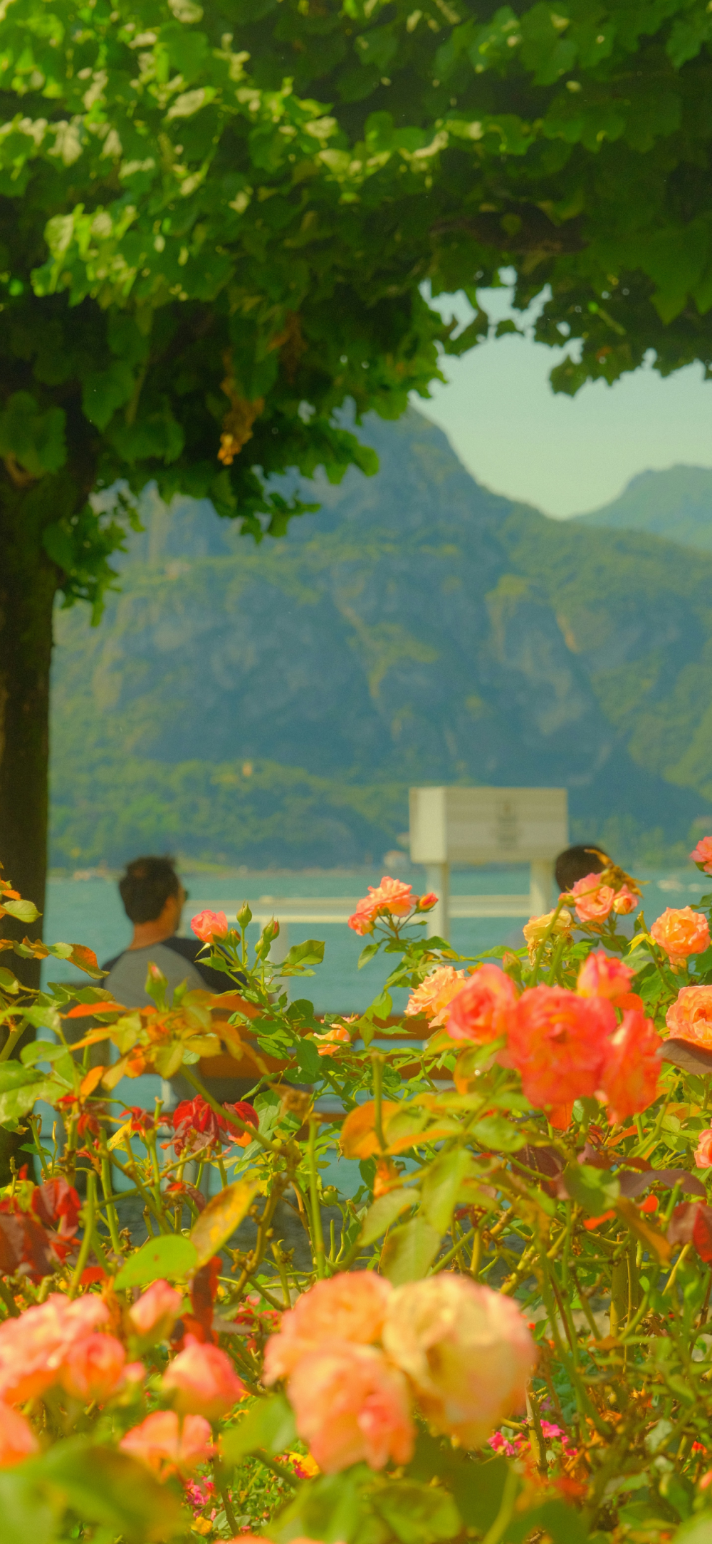 ‎#ليس قوة خارقة