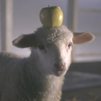 ‎#ليس قوة خارقة