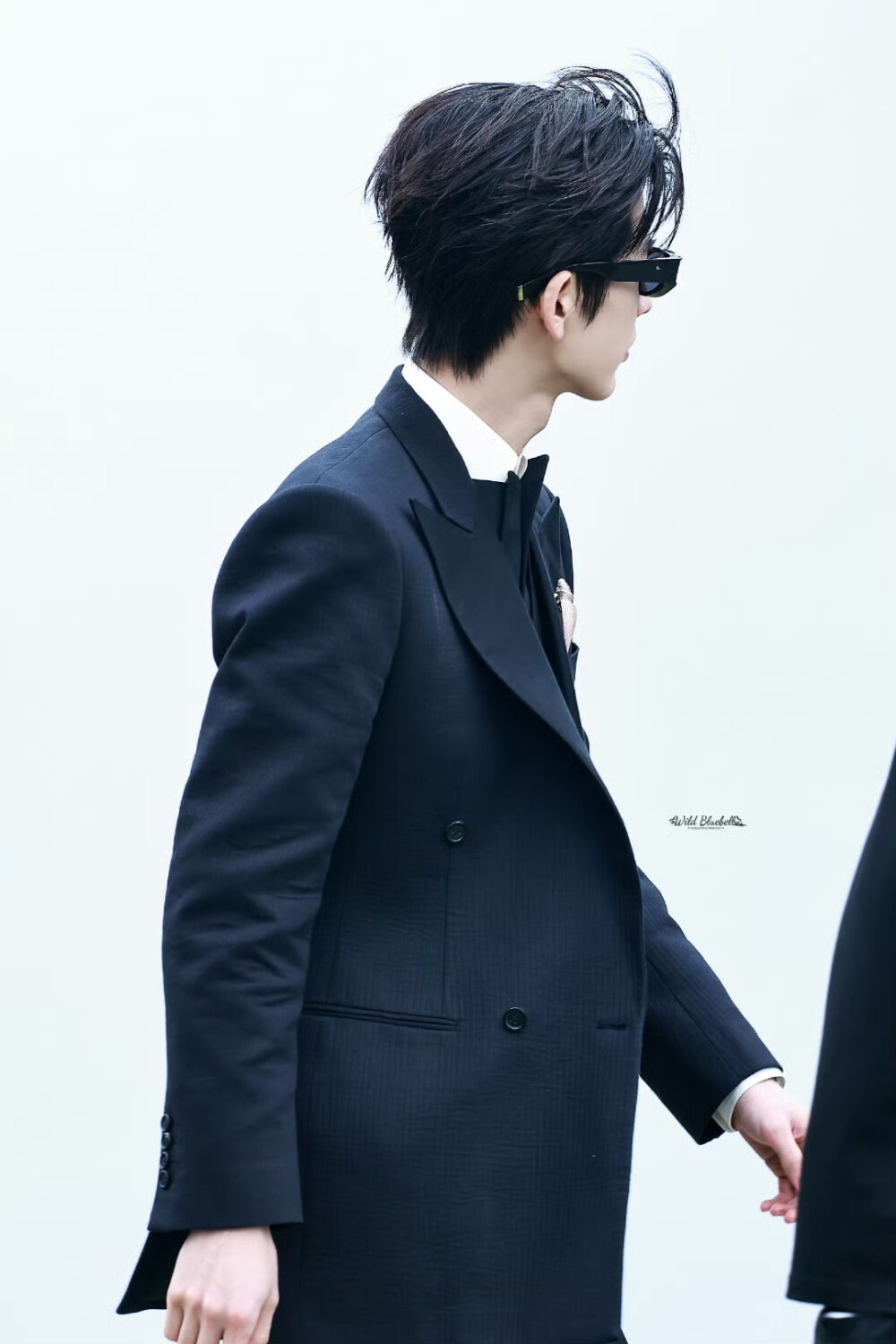 cr.WildBluebell·张凌赫