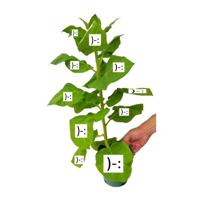 ‎#ليس قوة خارقة