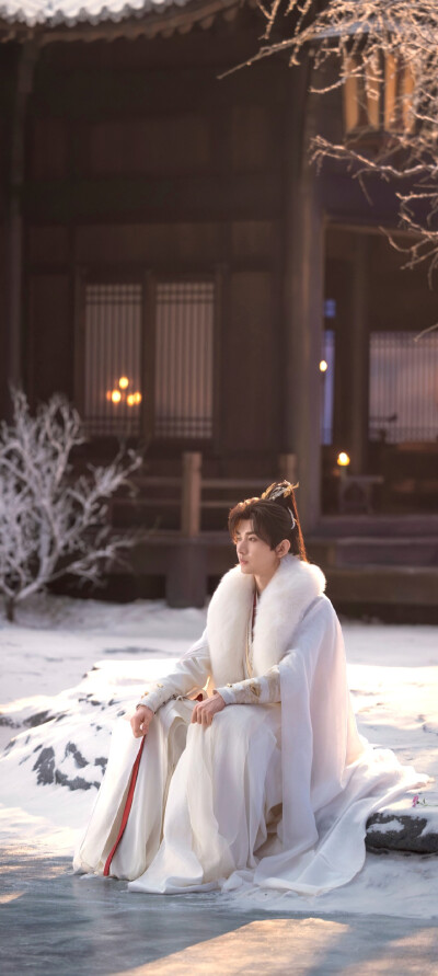 成毅《天地剑心》王权富贵