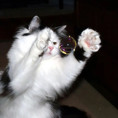 我是不会放弃收集这种图片的