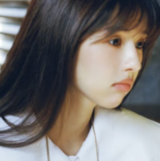 是人尘欲掩你挺拔，不遮你长青