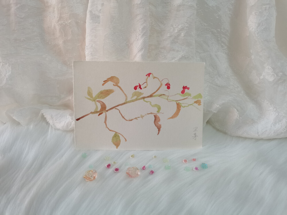 42 鬼箭羽（绘画 | 水彩 | 果花甘05）
2018.09.27
鬼箭羽，又称卫矛。
古书有云，其茎有棱，状如箭羽，故称鬼箭羽。
四棱似矛，而栓翅较宽如羽，故又名卫矛。