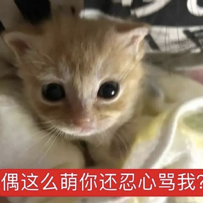 自用