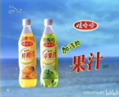 娃哈哈 加汽果汁系列