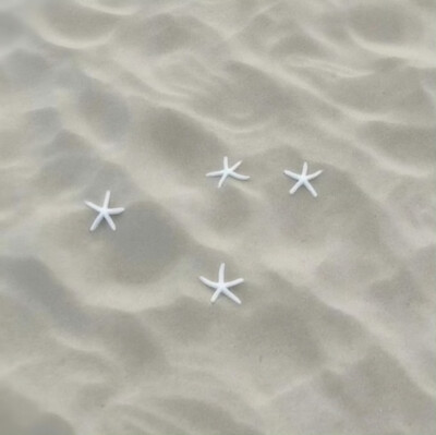 기억:Onda di calore咸涩…시간''海水