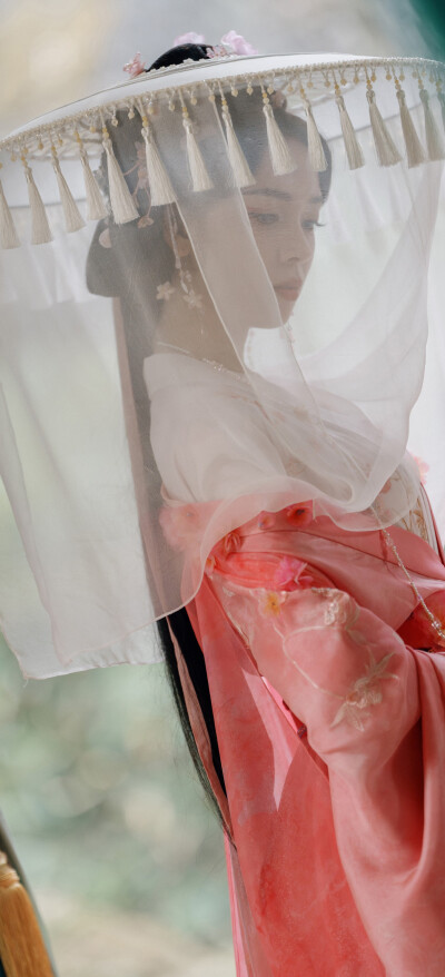 陈瑶《水龙吟》西方桃