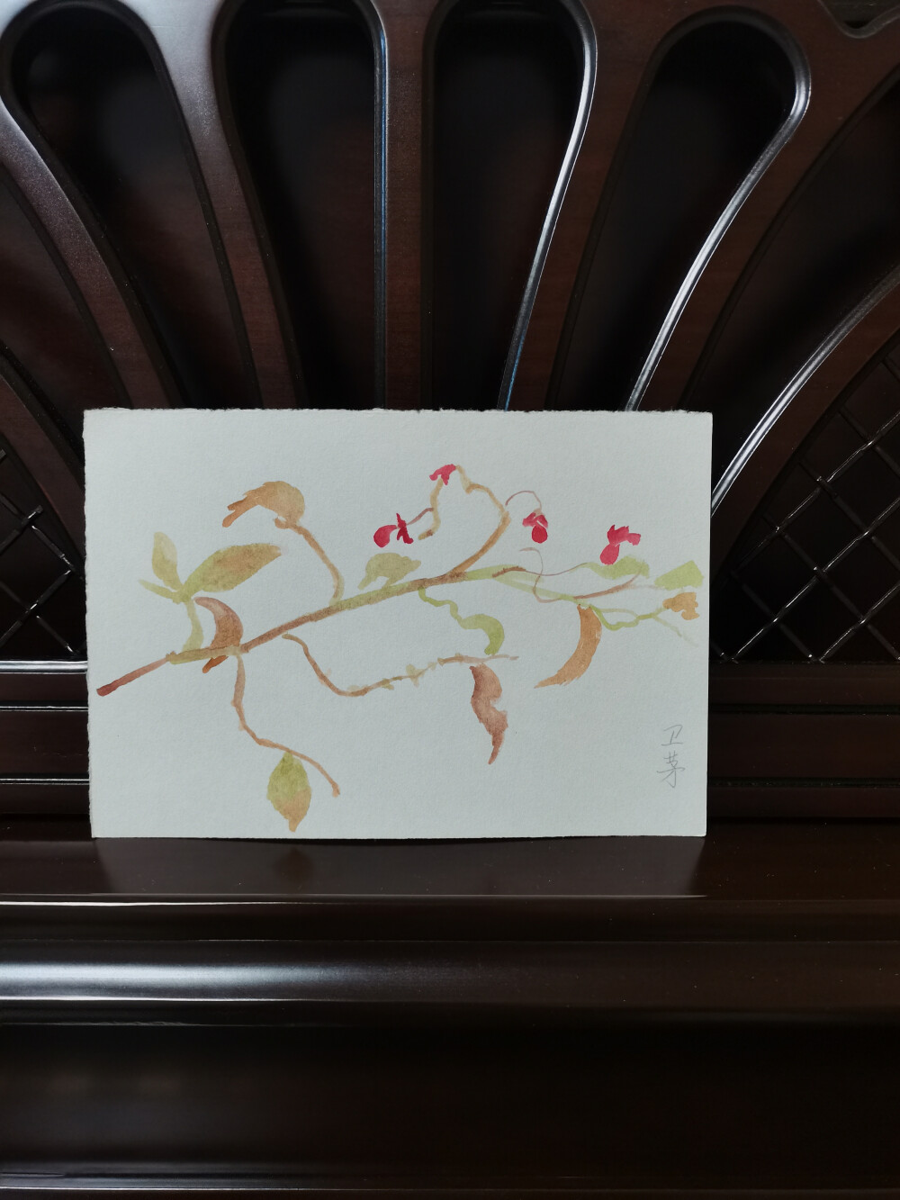 42 鬼箭羽（绘画 | 水彩 | 果花甘05）
2018.09.27
鬼箭羽，又称卫矛。
古书有云，其茎有棱，状如箭羽，故称鬼箭羽。
四棱似矛，而栓翅较宽如羽，故又名卫矛。