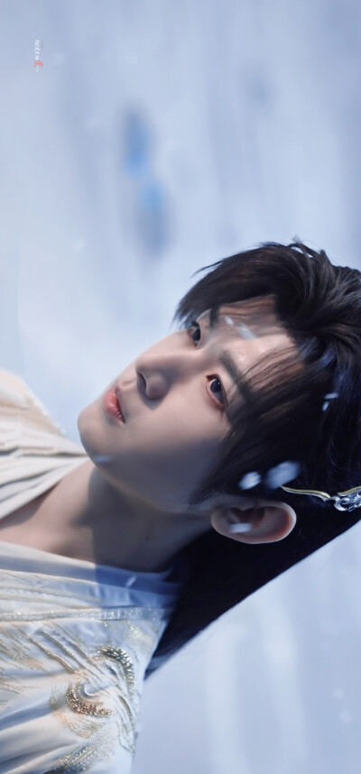 成毅《天地剑心》王权富贵